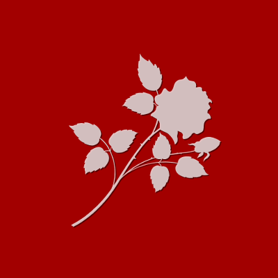 Flower Red Square, par Xavier E. G. Dierick